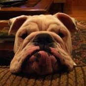 Matt Cairns's photo