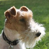 Louise Beary's photo