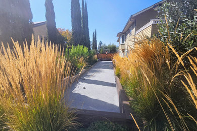Design ideas for a transitional landscaping in San Francisco.