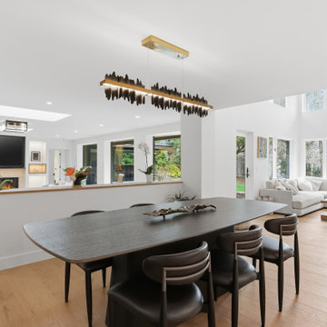 Project Lumen - Modern Whole Home