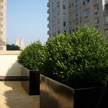 Planters