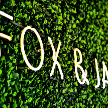 Fox & Jane