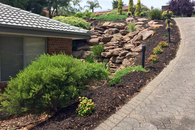 Mid-sized front yard full sun xeriscape in Adelaide with with rock feature and mulch for spring.