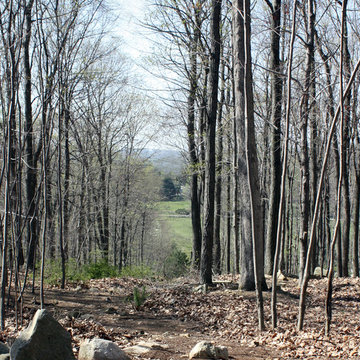 Spirits of the Woods| Longview