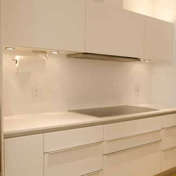 Galleria, high-rise Poggenpohl kitchen renovation in the Four Leaf Towers