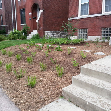 Project Clear Rainscaping Rebate Program