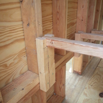 Extra Large Chicken Coop Combo