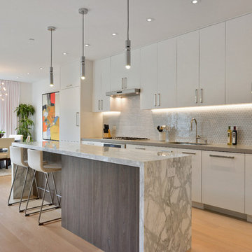 Duboce Park Duplex