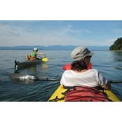 Melanie Guschuk's photo