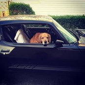 Dave Wininger's photo