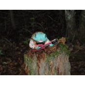 Timothy Ripp's photo