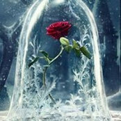 Patricia Nies's photo