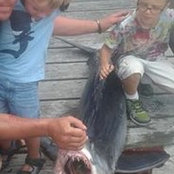 Nathan Holman's photo