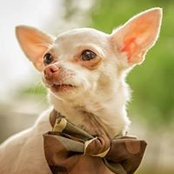 Rusty Miller's photo