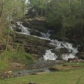 Susan Page's photo