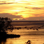 Foto von cousinscove