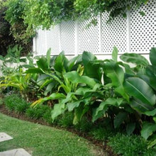 Landscaping