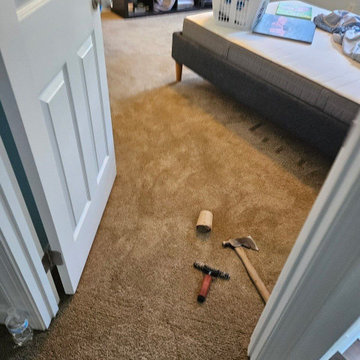 Residential Carpet Installation