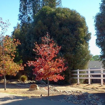Dry River rock stream