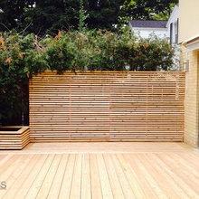 Backyard Options