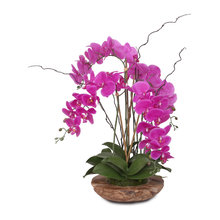 Purple Passion