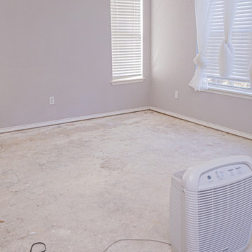Drywall Paint & Repair