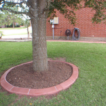 Sproul After Tree Rings
