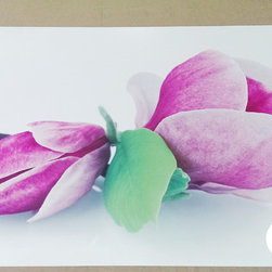 Prints on PVC - Products