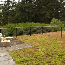 Fence
