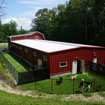 Outdoor play areas are a big hit with the canine residents!