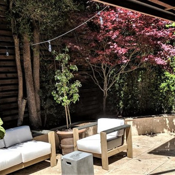 Split Level Travertine Patio and Ipe Deck with Cable Railing
