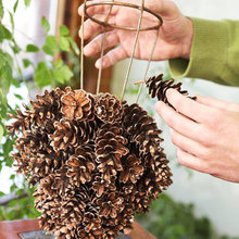 decoration