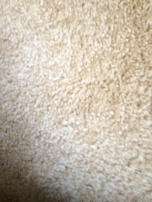 Electricians Rug Burning Smell