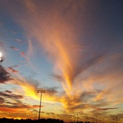 Rayne Ingram's photo