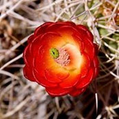 Douglas Heaths foto