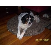 Mark Tucker's photo