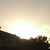 Kathy Del Campo's photo