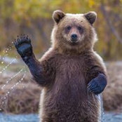 Jennifer Plumb's photo