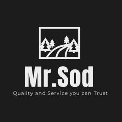 Mr.Sod