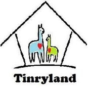 Tinryland Alpacas's photo