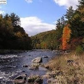 Alfonso Rickerson's photo