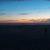 Katie Short's photo
