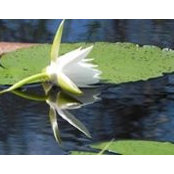 Michelle Walker's photo
