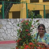 Photo de Viji Iyer