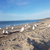 Aimee Glynn's photo