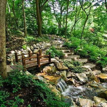 Backyard Nature Walk: