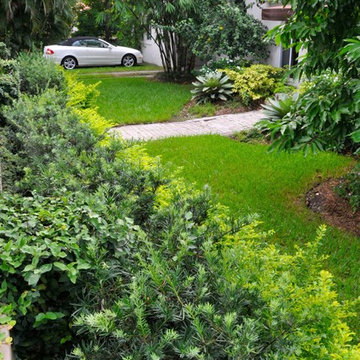 Miami Landscape Design Ideas