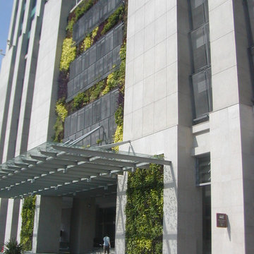 Living Green Wall @ G-Tower Hotel,KL,Malaysia