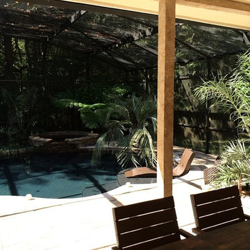 Jungle Love Pool Area