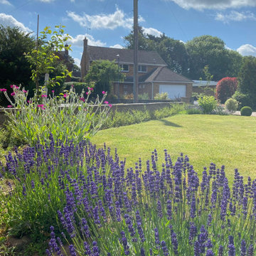 Kenilworth front garden